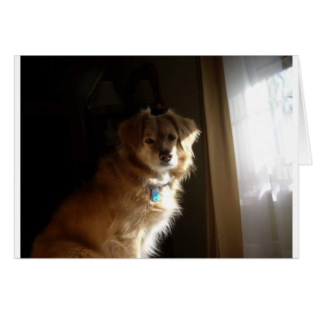 Un réducteur de confort (Devant Horizontal)