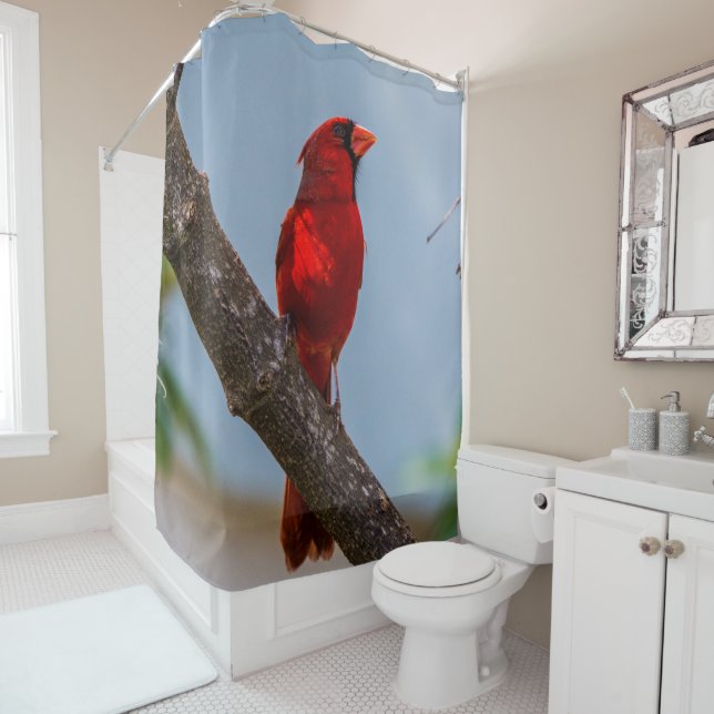 Un rideau de douche au cardinal (En situation)