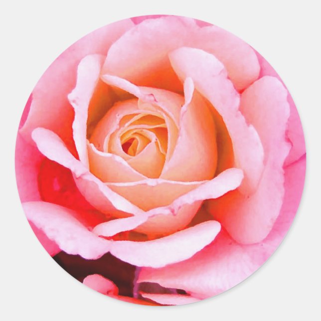 Un Rose Est Un Autocollant Rose (Devant)