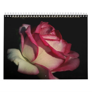 un rose est un rose est un calendrier de rose pour