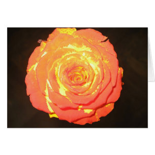- Un rose n'aiment pas autre - amour subtil unique