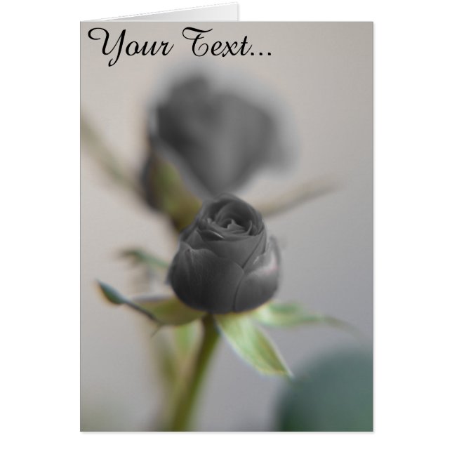 Un rose noir (Devant)