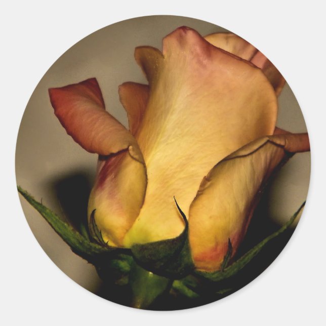 Un rose pour vous autocollant (Devant)