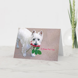 "Un Rose pour vous" toutes les occasions carte de 