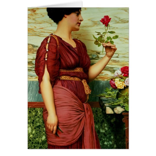 Un rose rouge et rouge (Devant)