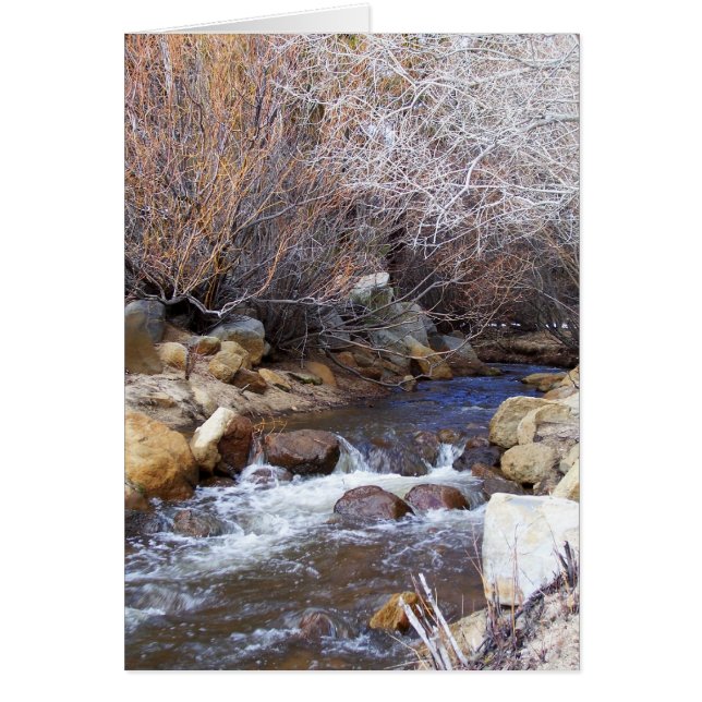 Un ruisseau d'hiver (Devant)