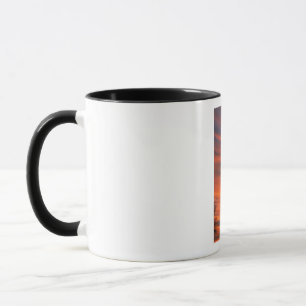 Un sahuaro désert cactus avec une superbe tasse au