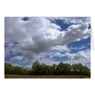 Un Samedi Ensoleillé Dans Le Pays #21