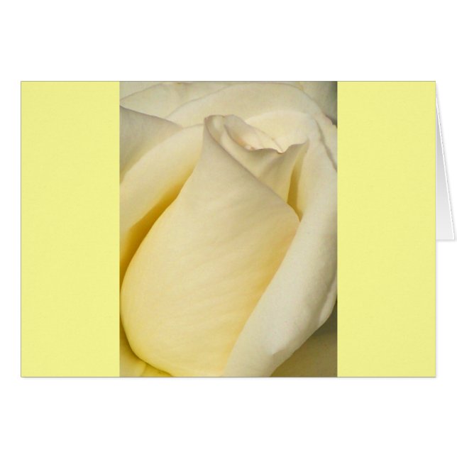 Un seul Rose_ (Devant Horizontal)