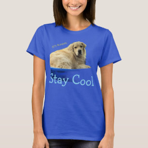  Un t-shirt amusant avec un Golden Retriever. 