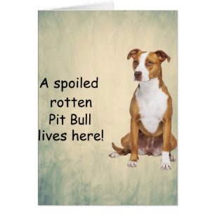 Un Taureau pourri habite ici