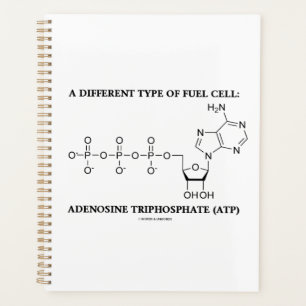 Un Type Différent De Biochimie De L'ATP Des Piles
