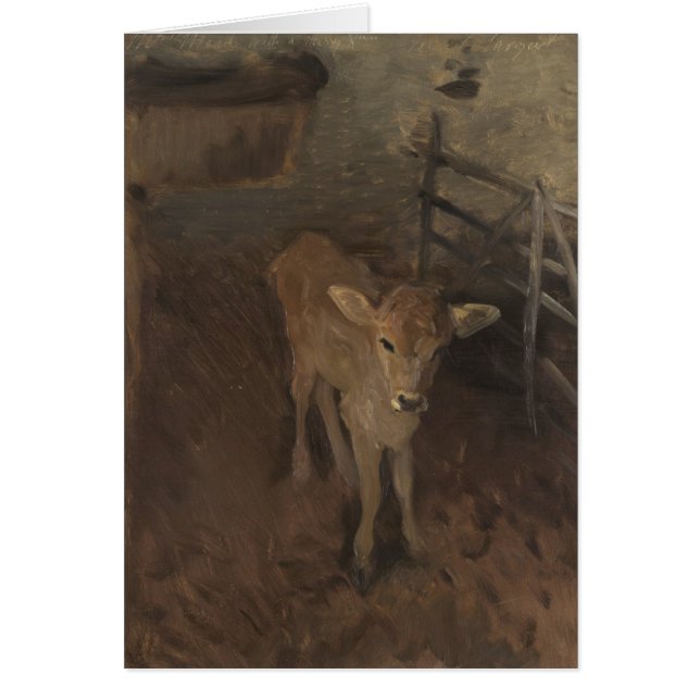 Un veau du Jersey (Devant)