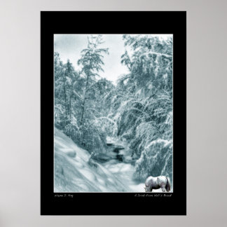 Un verre de Halls Brook Poster