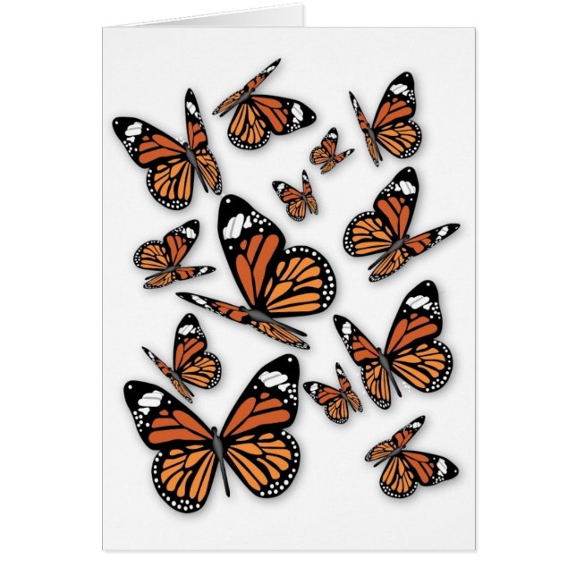 Un vol de papillons (Devant)