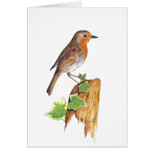 Un watchfull Robin, beaux-arts, couleur pour