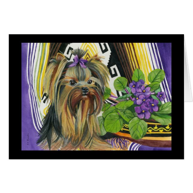 Un Yorkie appelé Violet (Devant Horizontal)