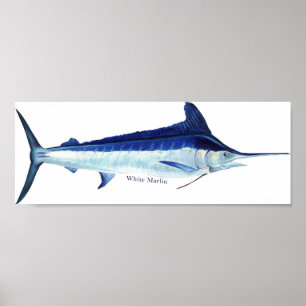 Une affiche de marlin blanc