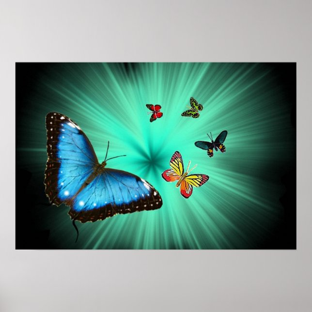 Une affiche de voyage papillon (Devant)