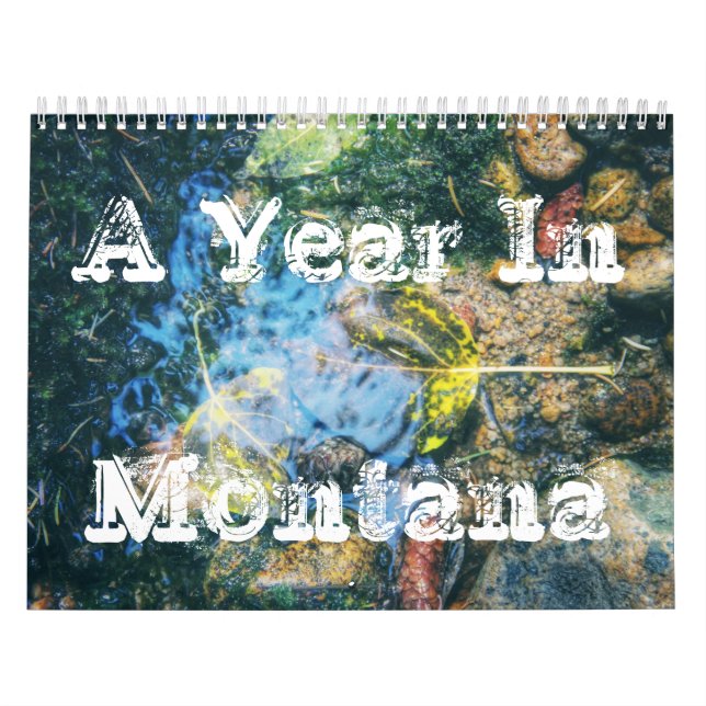 Une année dans le calendrier du Montana (Protection)