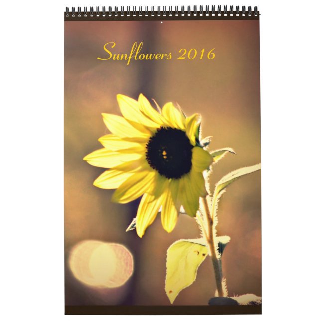 Une année de calendrier des tournesols 2016 (Protection)