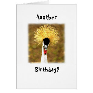 Une autre fête d'anniversaire? Wow! Carte pour cit