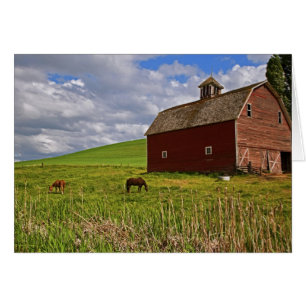 Une balade à travers la campagne de Palouse 3