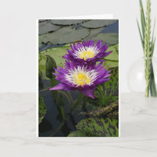 UNE "BEAU FLEURS" POUR LA CARTE "VOTRE ANNIVERSAIR