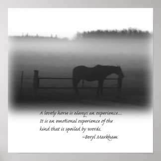 Une Belle Poster De Cheval