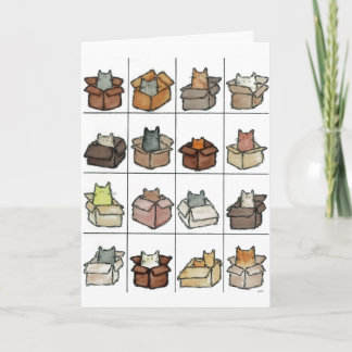 Une boîte pour chaque carte de voeux de chat