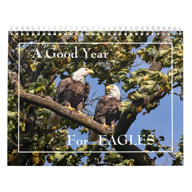 Une Bonne Année Pour Le Calendrier Des Aigles (Protection)