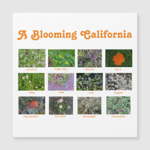 Une Californie florissante