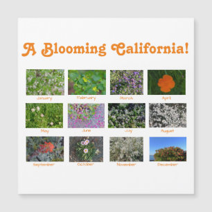 Une Californie florissante