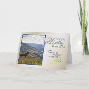 Une carte d'anniversaire de cheval de nous tous