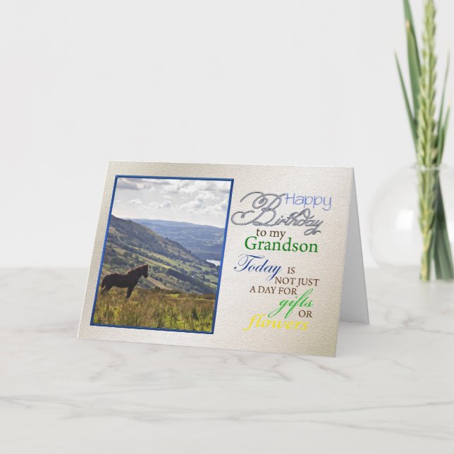 Une carte d'anniversaire pour petit-fils. (Devant)