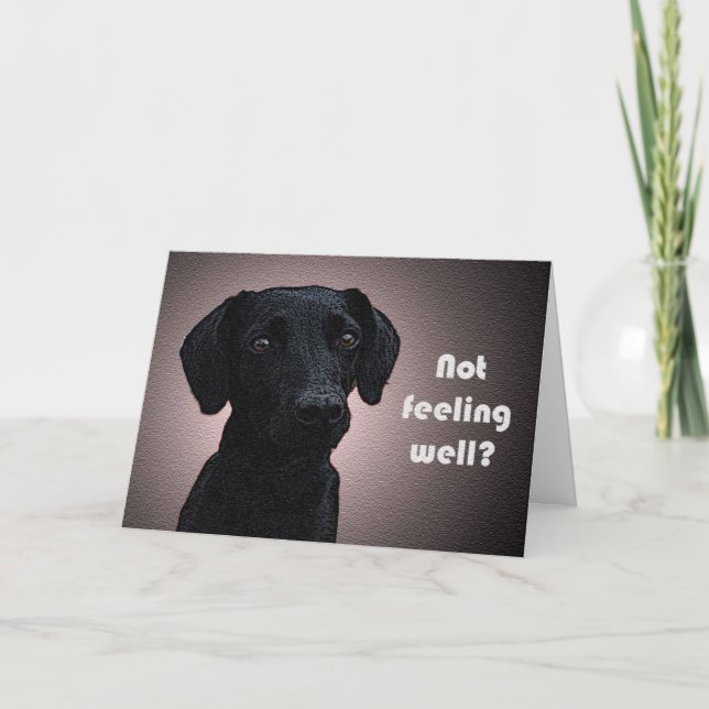 Une carte de bien-être pour un chien (Devant)