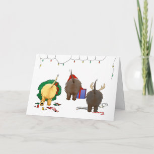 Une carte de Noël de Cairn