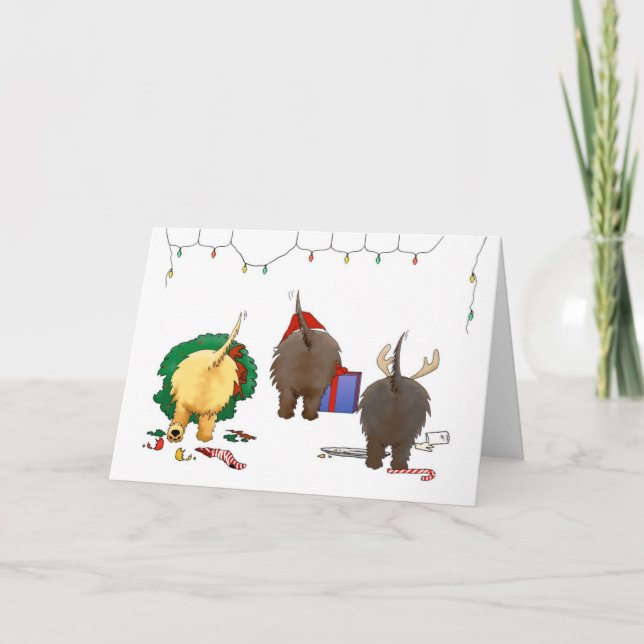 Une carte de Noël de Cairn (Devant)