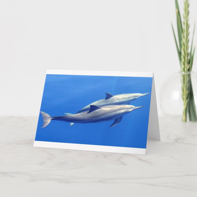 une carte de note (Devant)