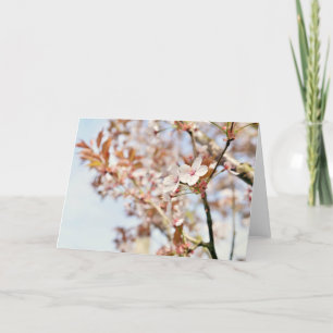 Une carte de voeux vierge de 7 x 5''