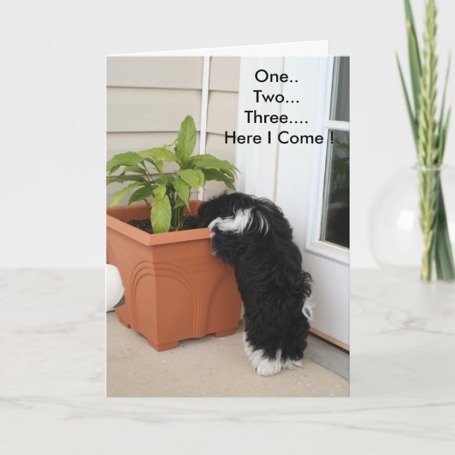 Une carte deux trois cartes (Devant)