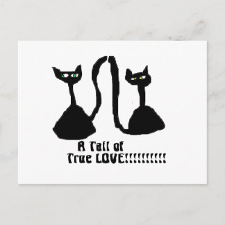 Une carte postale de chat d'amour
