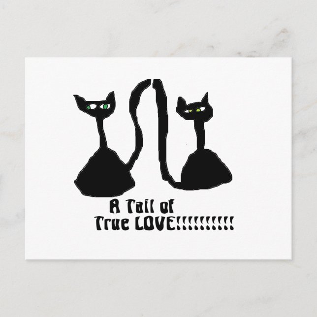 Une carte postale de chat d'amour (Devant)