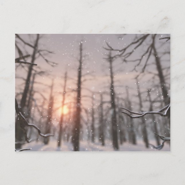 Une carte postale de rêve d'une nuit d'hiver (Devant)