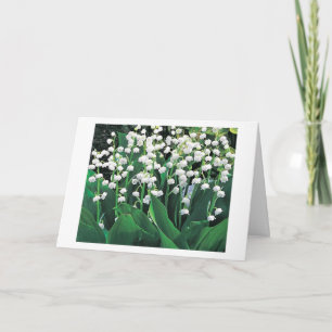 UNE CARTE SPÉCIALE POUR UNE FEMME SPÉCIALE