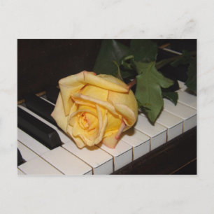 Une Chanson D'Une Carte Postale Rose