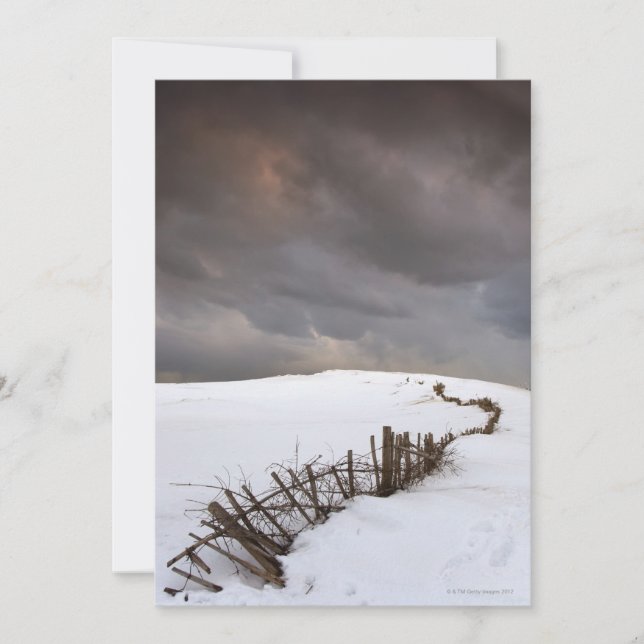 Une clôture cassée (Devant)