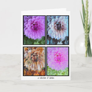 Une collection de cartes Dahlias
