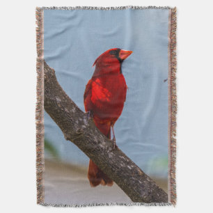 Une couverture jetée Cardinal