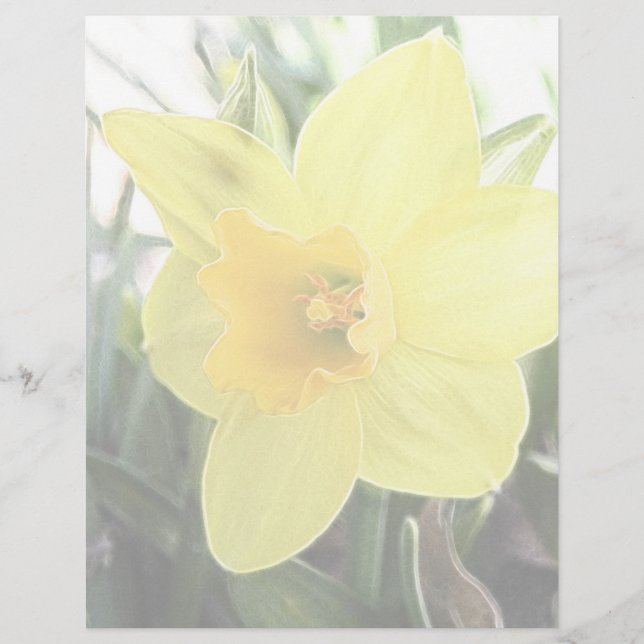 Une Daffodique Jaune Gaie (Devant)
